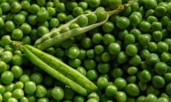 receta: guisantes con soja texturizada y curry