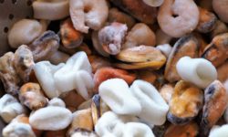 CONGELACIÓN DE ALIMENTOS