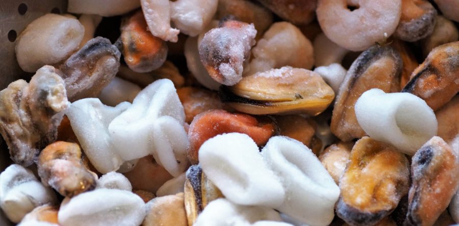 CONGELACIÓN DE ALIMENTOS